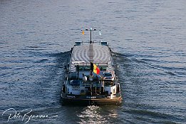 IMG_4426-r1